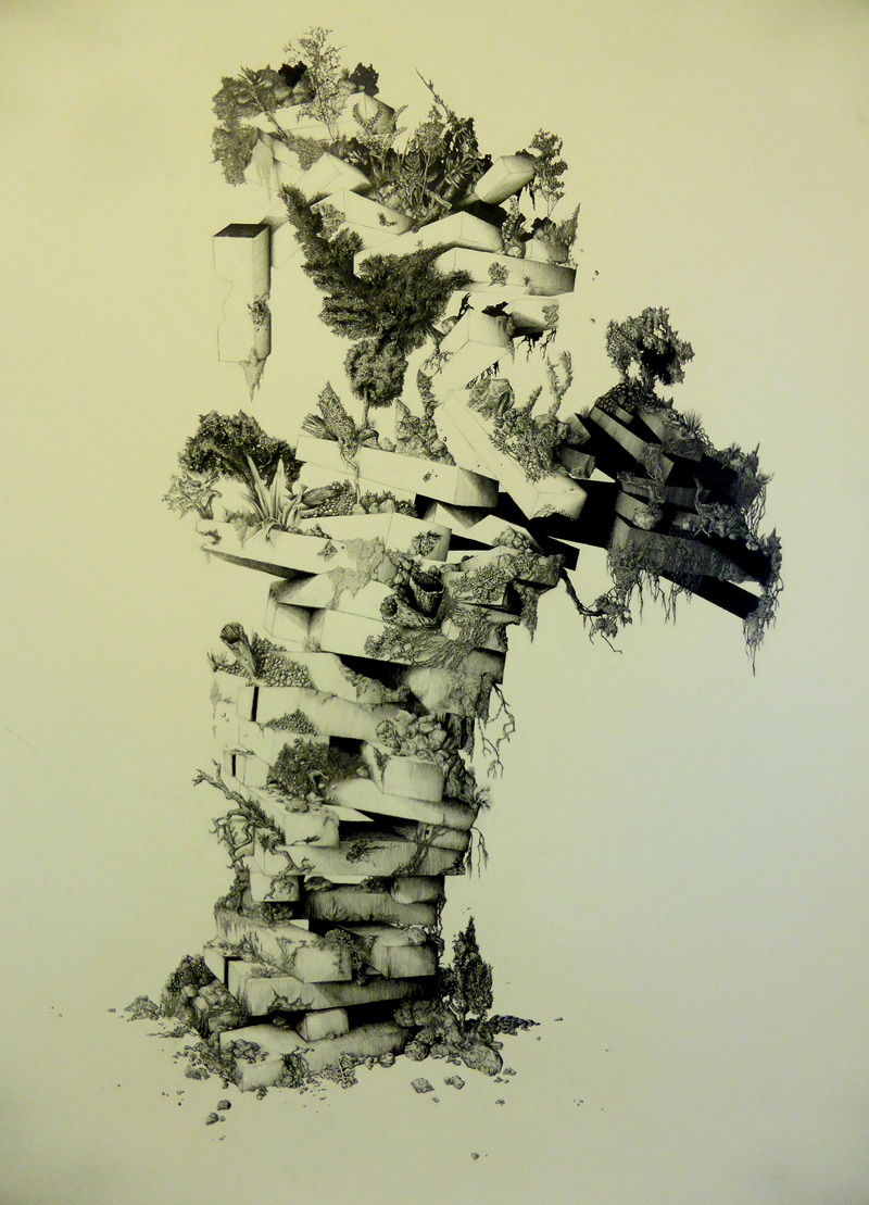Jumanji-1-graphite-sur-papier-101-x-140-cm-2016