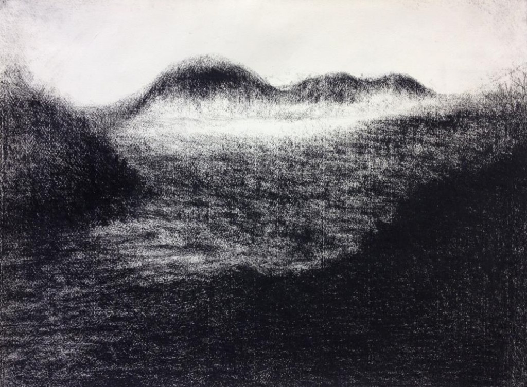 Odile Maarek, Sans titre, 2014, craies Comté sur papier Ingres, 59.5 x 74.5 cm